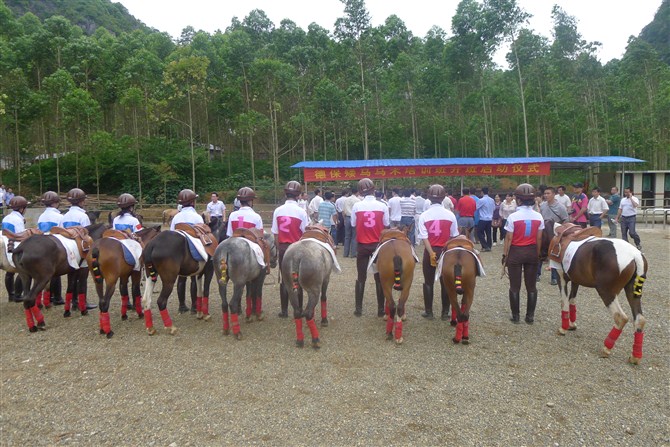 Fort de Equestrian Youth Training